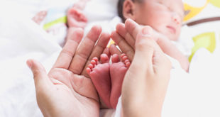 Premature Gunu_Premature Gunu Bebek