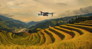 Tarımda dijital dönüşümün yol haritası çıkarıldı
