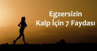 Egzersizin Kalp İçin 7 Faydası