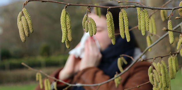 Polen Alerjisi Baharı Kabusa Çevirmesin